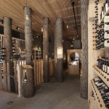 酒店 Engadiner Boutique-hotel Guardaval 施库尔